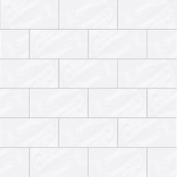 Vitta 10 blanc brillant 10X20 cm carrelage Effet Monocouleur