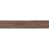 Copenhagen Bruin 20x120 cm tegel met houtlook