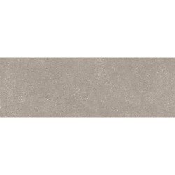 Dimensie Taupe 40X120 cm tegels met steeneffect