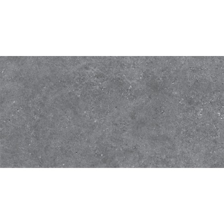 Kalksten Gris 60X120 cm carrelage Effet Pierre