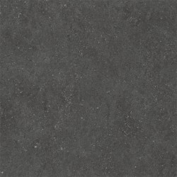 Limestone zwart 60X60 cm...