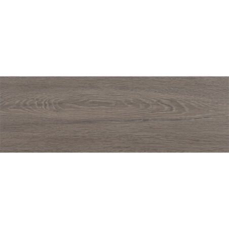 Hudson Ceniza 20X60 cm hout effect tegels
