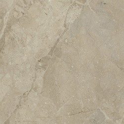 Elegance NPLUS Naturel Brillant 75X75 cm carrelage Effet Marbre