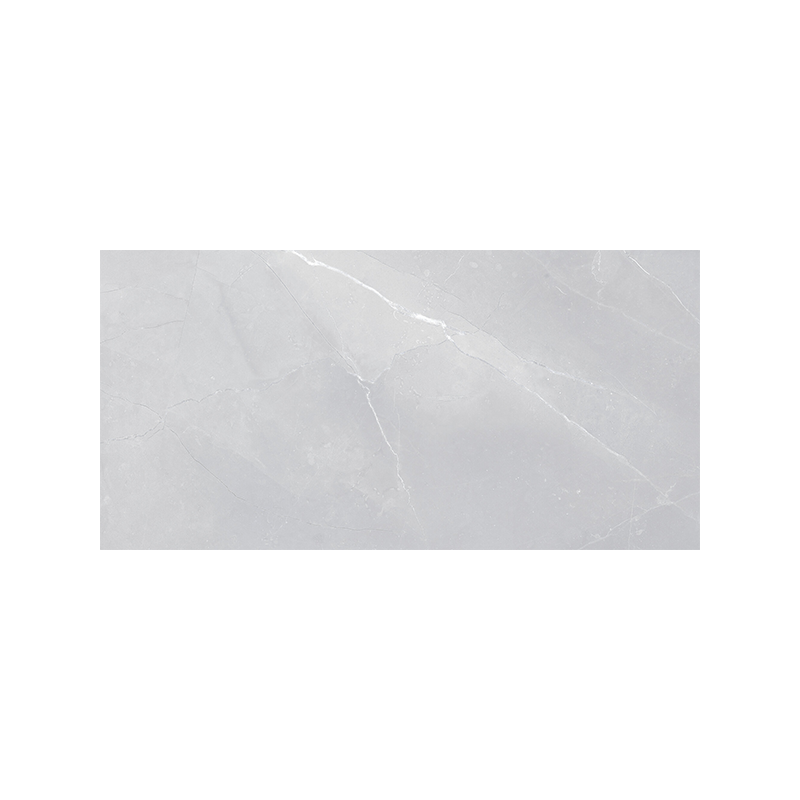 Pulpis NPLUS Shiny grijs 60X120 cm tegel Marmer effect