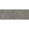 Astoria Graphite Mat 31.6X90 cm tegels met steeneffect