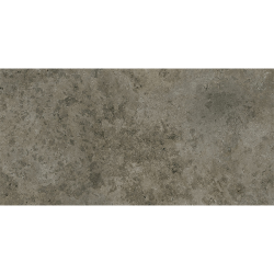 Petrae taupe mat 30X60 cm...