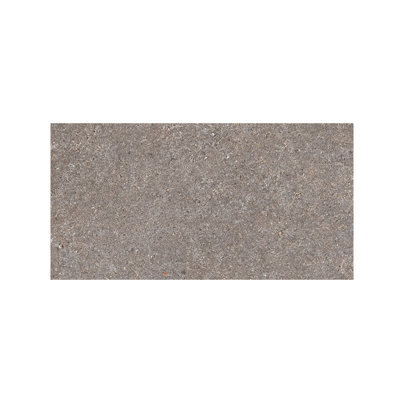 Belgravia gris mat 30,3X61,3 cm carrelage Effet Pierre