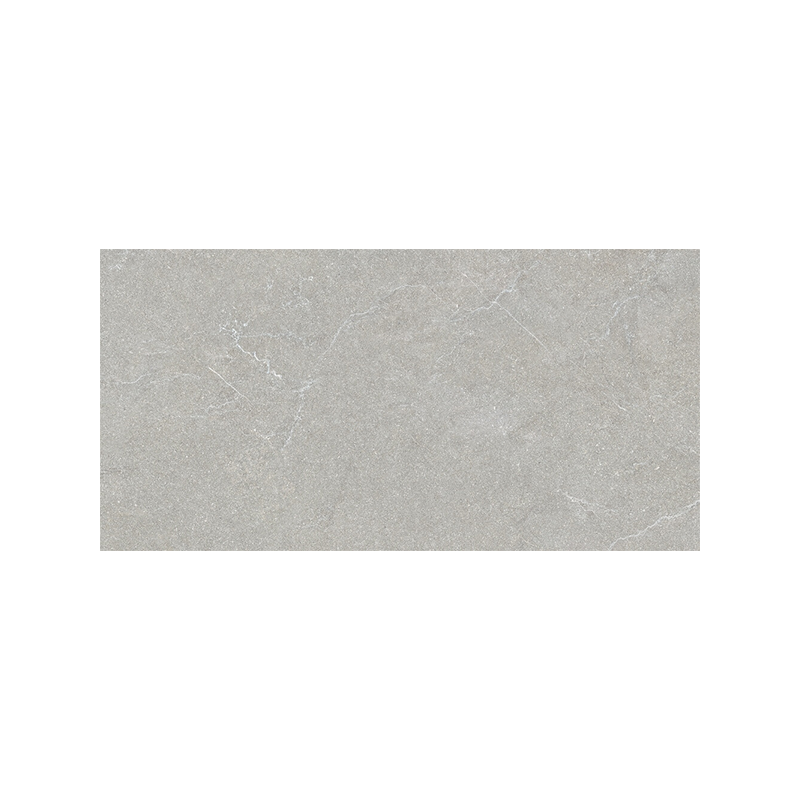 Attis gris mat 45X90 cm carrelage Effet Pierre